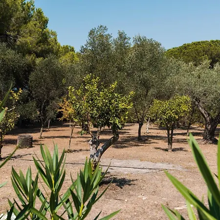 Villa The Magical Alghero