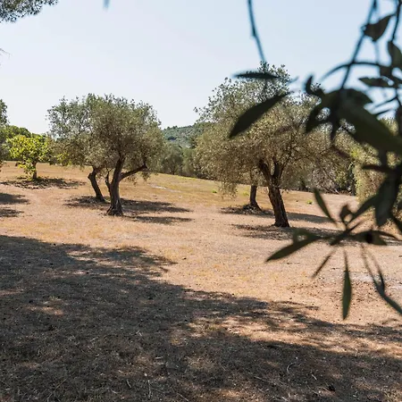 The Magical Villa Alghero